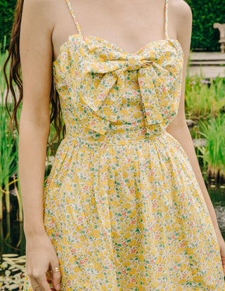 DOLCIA MINI DRESS