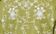 Amira Embroidery Olive