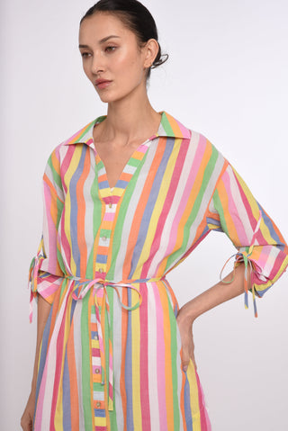 Shannon Mini Dress