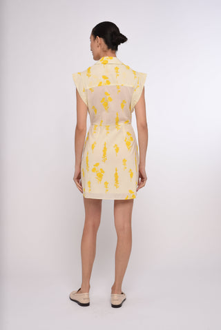 Simmons Mini Dress