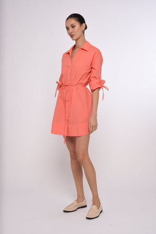 Shannon Mini Dress