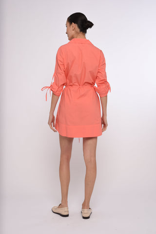 Shannon Mini Dress