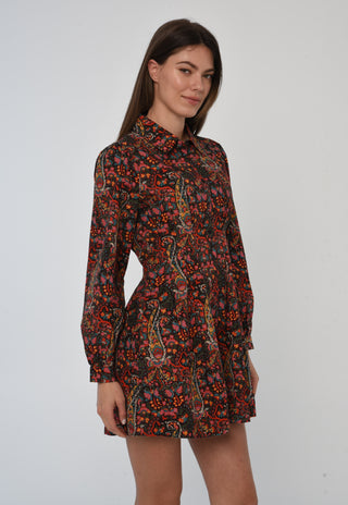 Marta Long Sleeve Mini Dress
