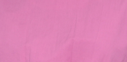 Radiant Orchid