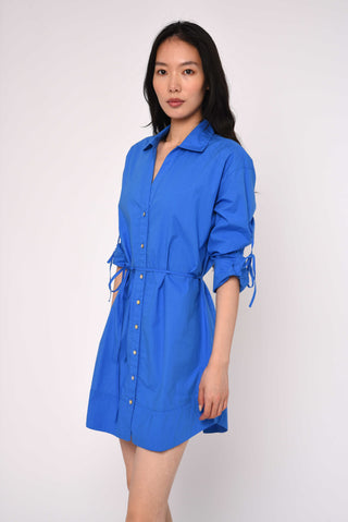 Shannon Mini Dress