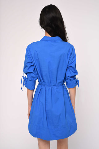 Shannon Mini Dress