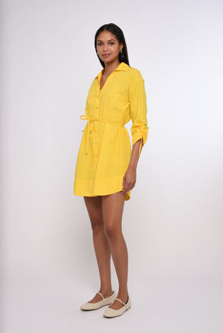 Shannon Mini Dress