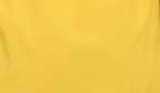 Vibrant Yellow