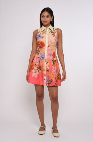 Sierra Mini Dress
