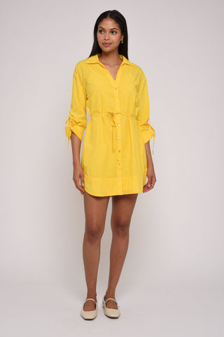 Shannon Mini Dress