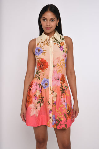 Sierra Mini Dress