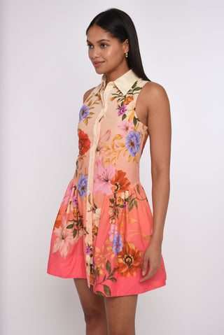 Sierra Mini Dress