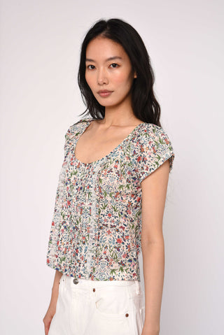 Vanda Top
