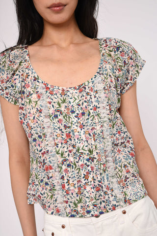 Vanda Top