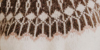 Ivory Multi