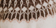 Ivory Multi