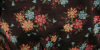  Lynda Anne Liberty Print