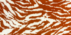 Terracotta Zebra Print 